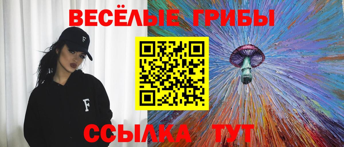 Псилоцибиновые грибы мицелий Дубна
